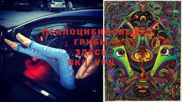 MDMA Верхний Тагил
