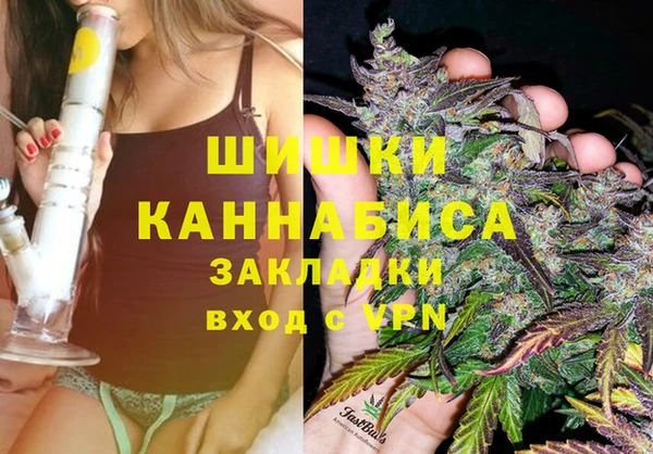 гидропоника Бородино