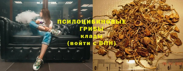 гашик Бугульма